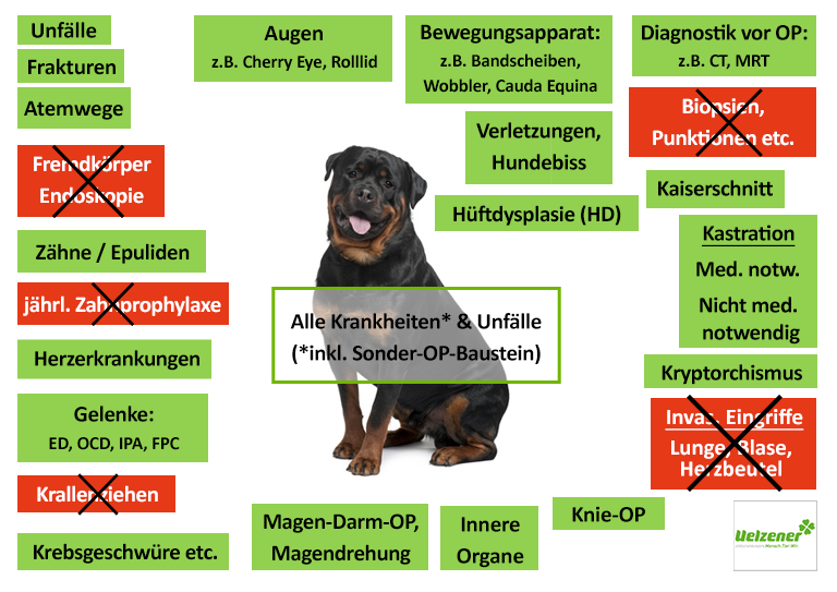 Hunde-OP Versicherung für Rottweiler - inkl. OP-Statistik