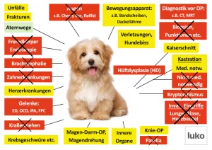 Luko Hunde-OP Versicherung Leistungen im Überblick