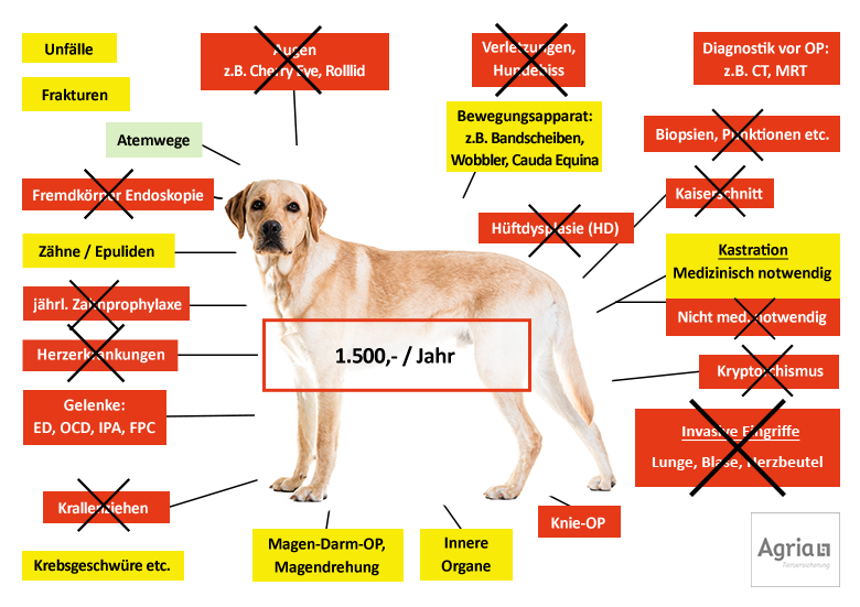 Agria Hunde-OP Versicherung Leistungen im Überblick