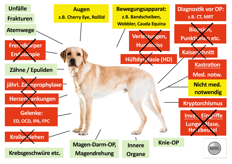 ARAG Hunde-OP Versicherung Leistungen im Überblick