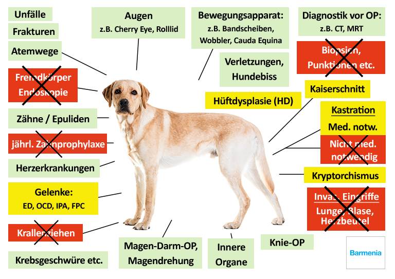 Barmenia Hunde-OP Versicherung Leistungen im Überblick