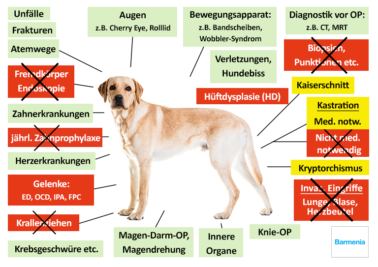 Barmenia Hunde-OP Versicherung Leistungen im Überblick