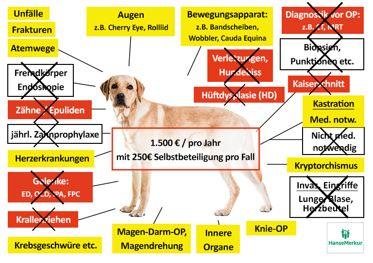 Hanse Merkur Hunde-OP Versicherung Leistungen im Überblick