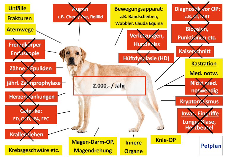 Petplan Hunde-OP Versicherung Leistungen im Überblick