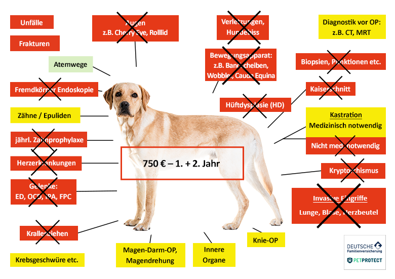 Petprotect Hunde-OP Versicherung Leistungen im Überblick
