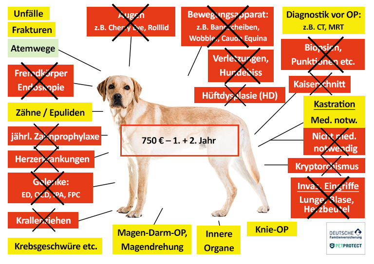 Petprotect Hunde-OP Versicherung Leistungen im Überblick