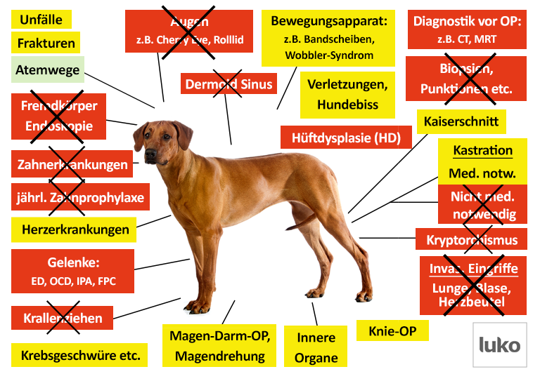 Luko Hunde-OP Versicherung Leistungen im Überblick