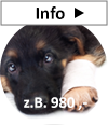 100% Verletzung