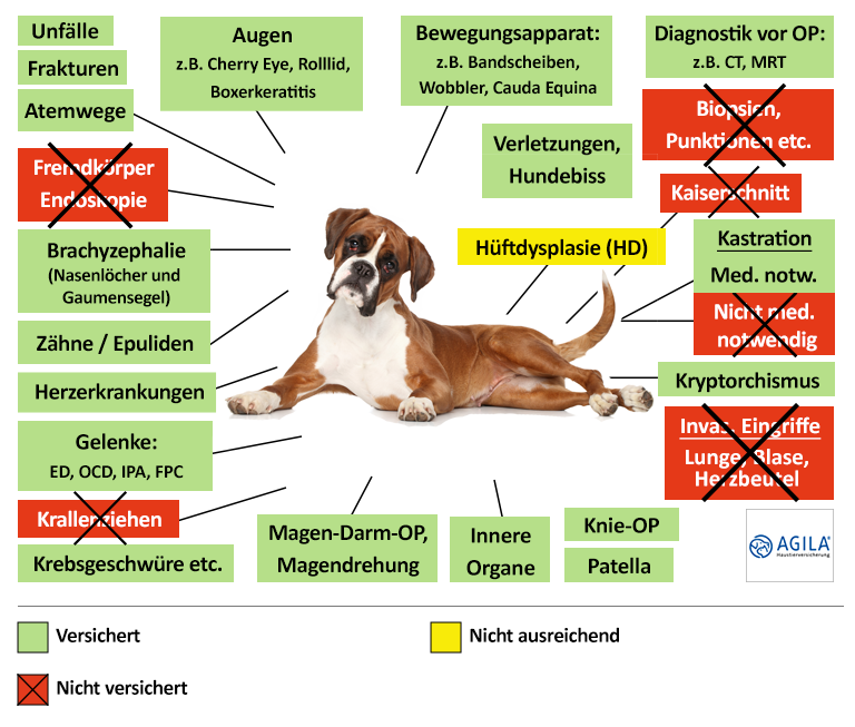 Agila Hunde-OP Versicherung Leistungen im Überblick