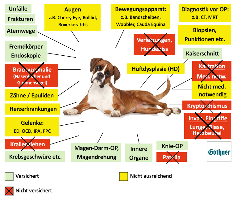 Gothaer Hunde-OP Versicherung Leistungen im Überblick