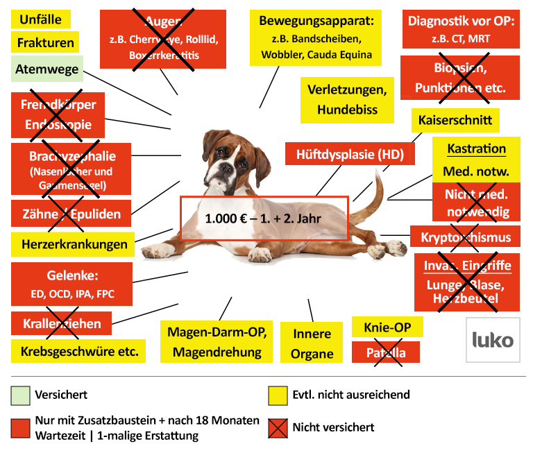 Luko Hunde-OP Versicherung Leistungen im Überblick