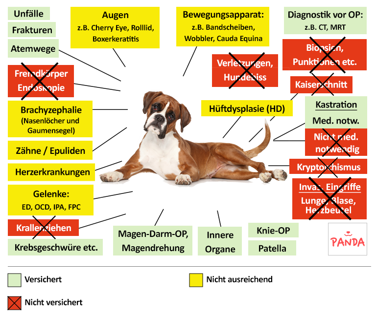 Panda Hunde-OP Versicherung Leistungen im Überblick