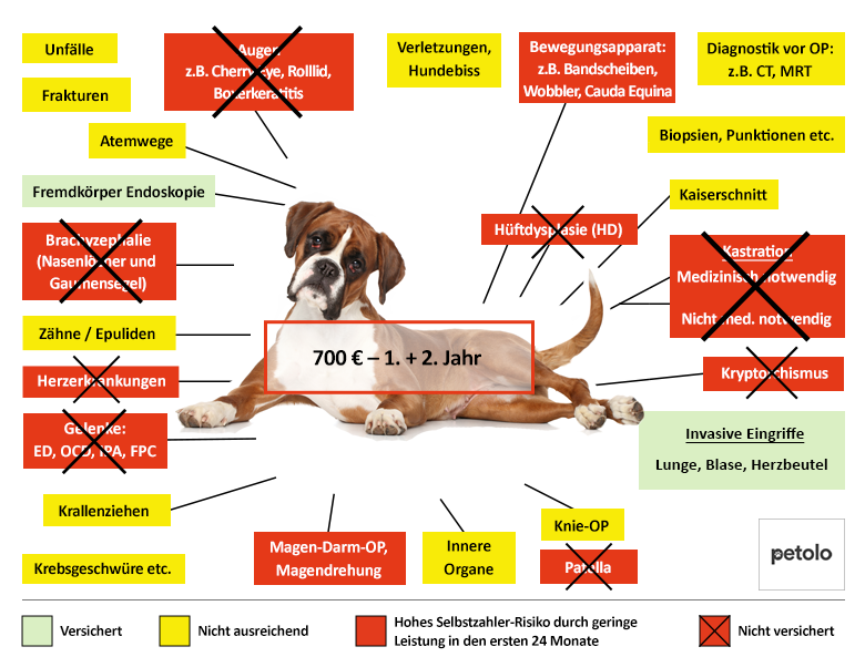 Petolo Hunde-OP Versicherung Leistungen im Überblick