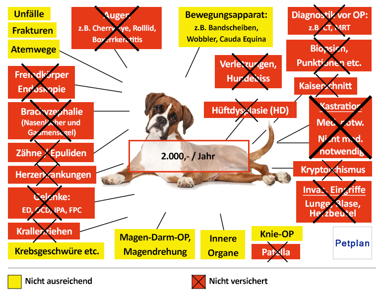 Petplan Hunde-OP Versicherung Leistungen im Überblick