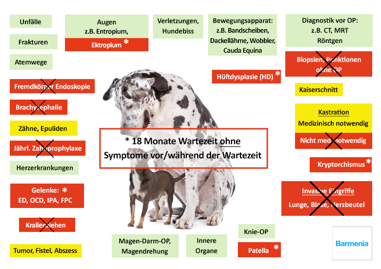 Hunde-OP Versicherung Vergleich In XXL | 2023