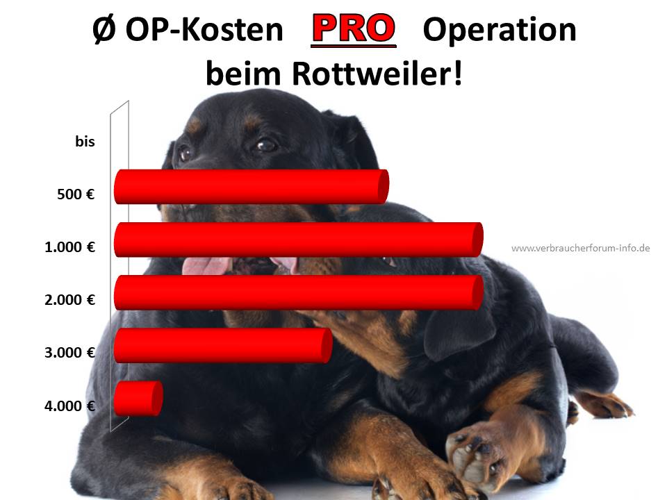 Schadensfallstatistik Kosten