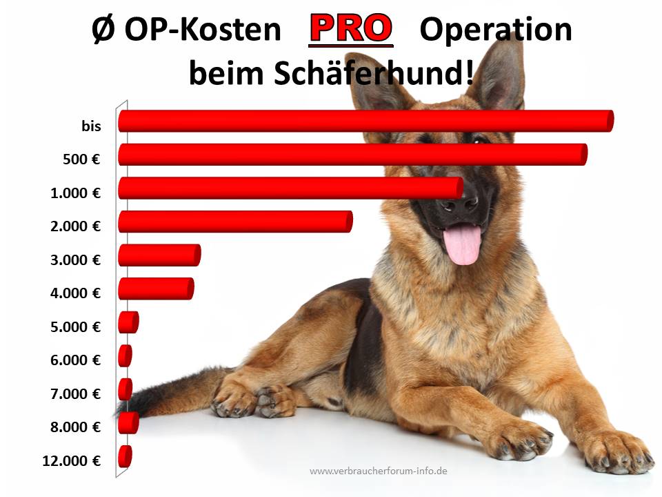 Statistik über mögliche OP-Kosten beim Schäferhund