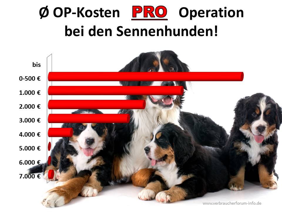 OP Kosten Sennenhund