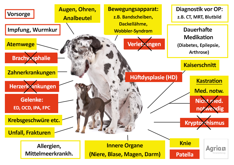 Agria Hundekrankenversicherung Leistungen im Überblick