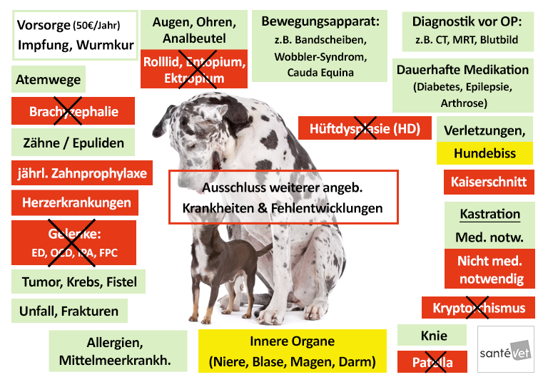 SantéVet Hundekrankenversicherung Leistungen im Überblick