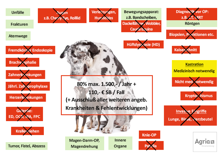 Agria Hunde-OP Versicherung Leistungen im Überblick