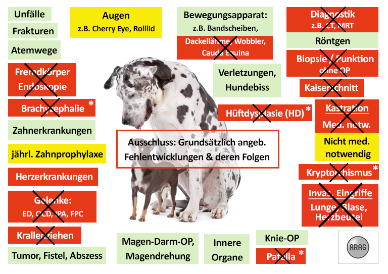 Hunde-OP Versicherung Vergleich In XXL | 2023