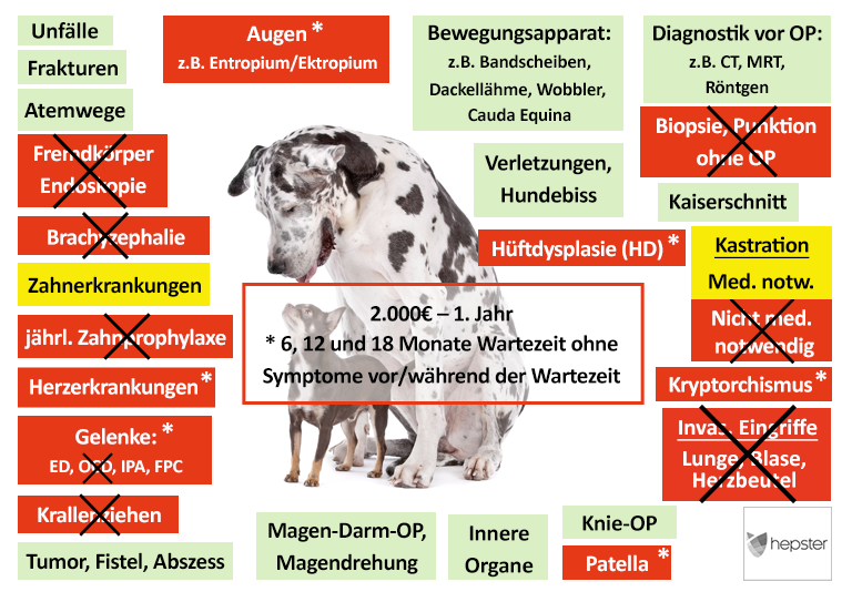 Hunde-OP Versicherung Vergleich In XXL | 2023