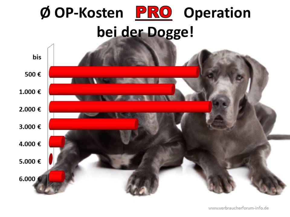Dogge OP-Kosten