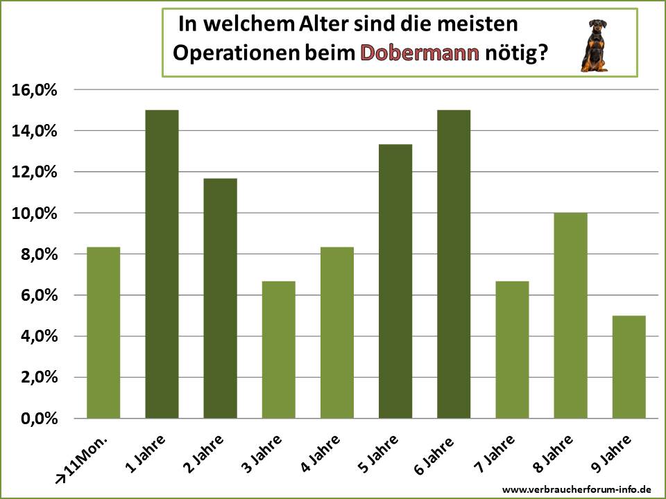 In welchem Alter treten die häufigsten Krankheiten beim Dobermann auf?