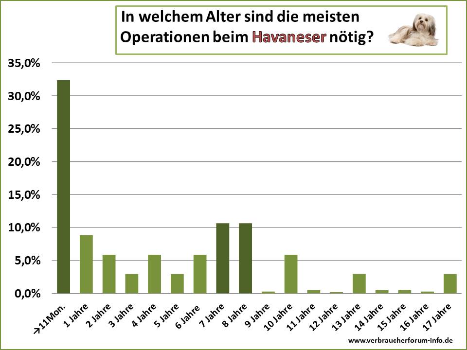 In welchem Alter treten die häufigsten Krankheiten beim Havaneser auf?