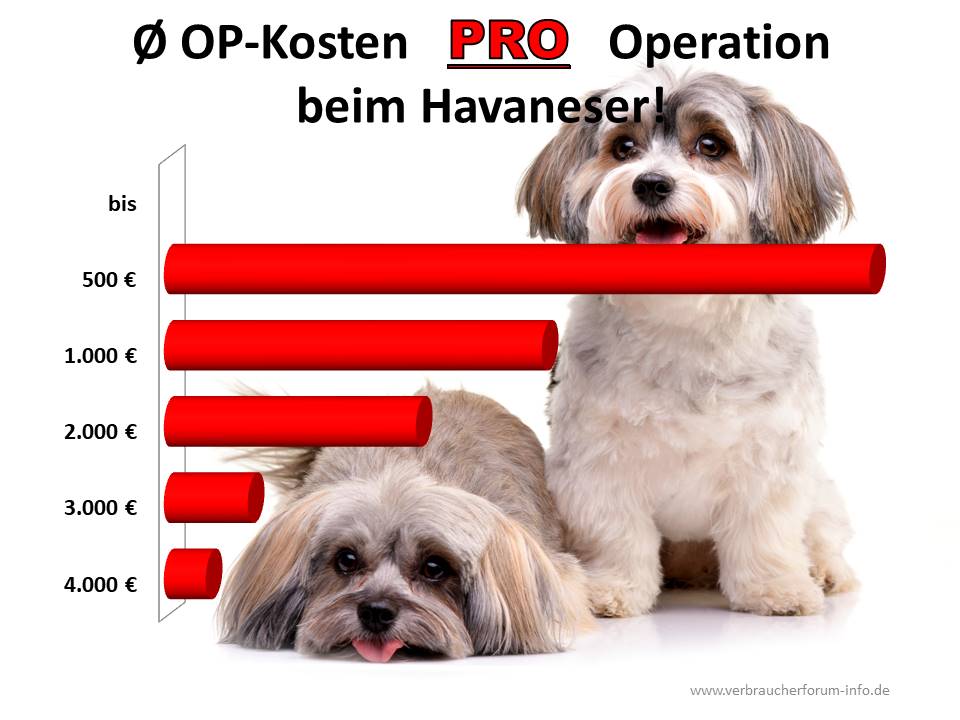 Tierarztkosten Statistik Havaneser