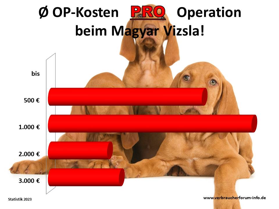 Durchschnittliche OP-Kosten beim Magyar Vizsla