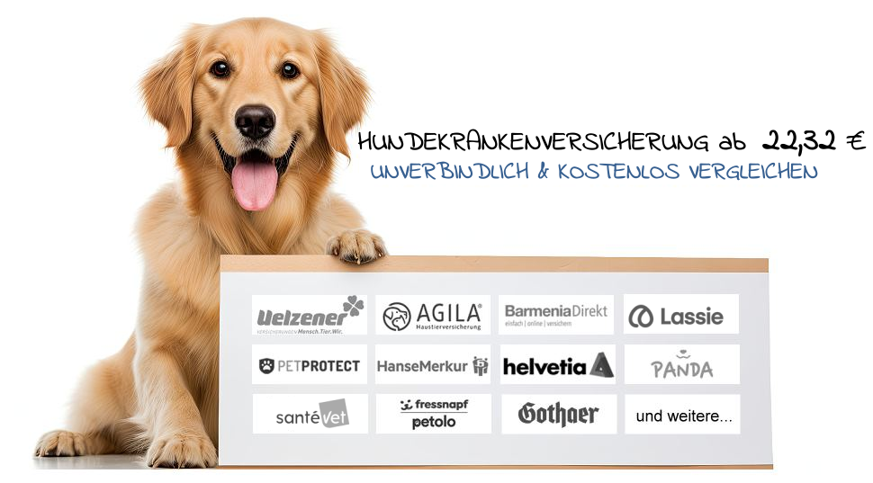 Hundekrankenversicherung: Uelzener, Agila, Barmenia, Lassie, Petprotect, Hansemerkur, helvetia, Panda, santevet, petolo, Gothaer