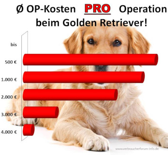 Hunde-OP Versicherung für Golden Retriever