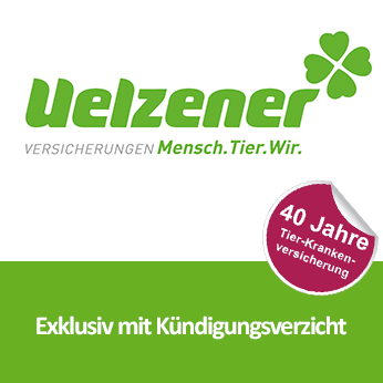 Uelzener Katzenkrankenversicherung