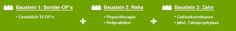 Uelzener Hundeversicherung Sonderbausteine