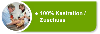 Hunde-OP-Versicherung für Kastration