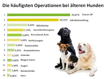 Hunde-OP Versicherung ältere Hunde Krankheiten Statistik