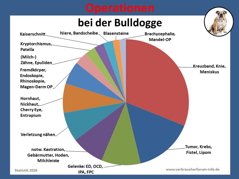 Hunde-OP-Versicherung für Bulldogge Operationen