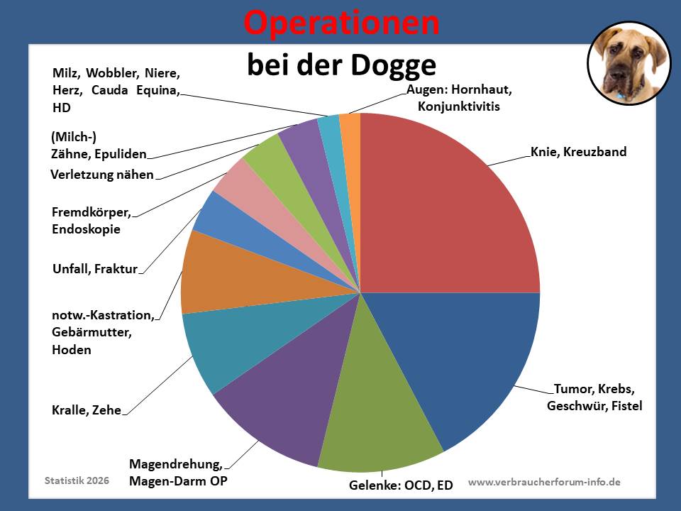 Hunde-OP-Versicherung für Dogge Operationen