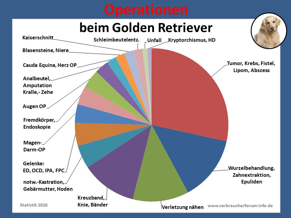 Hunde-OP-Versicherung für Golden Retriever Operationen