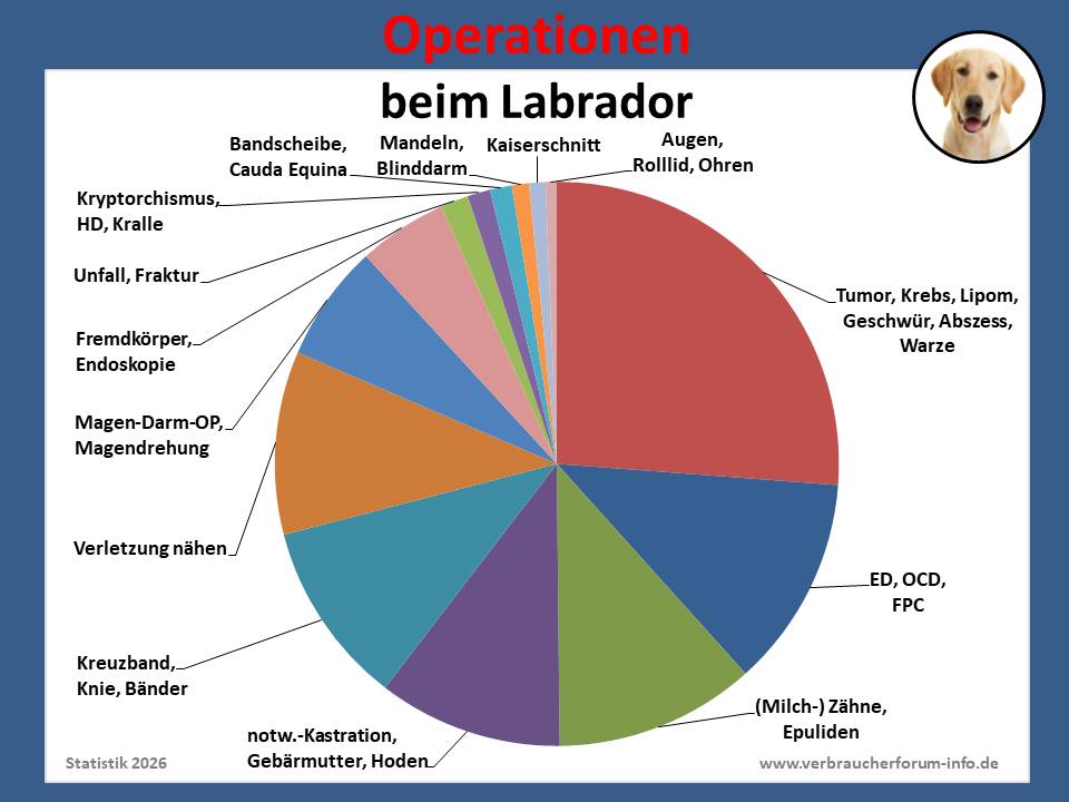 Hunde-OP-Versicherung für Labrador Operationen