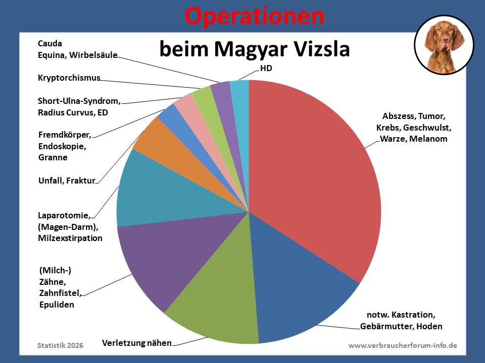 Hunde-OP-Versicherung für Magyar Vizsla Operationen