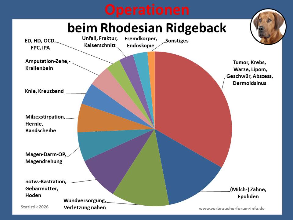 Hunde-OP-Versicherung für Rhodesian Ridgeback Operationen