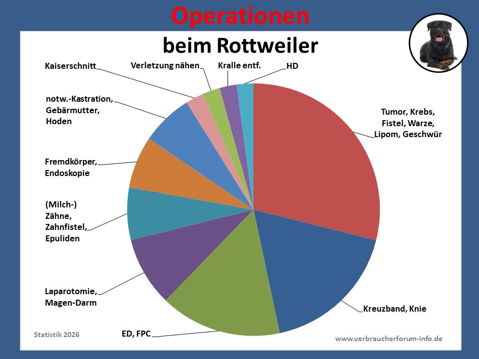 Hunde-OP-Versicherung für Rottweiler Operationen