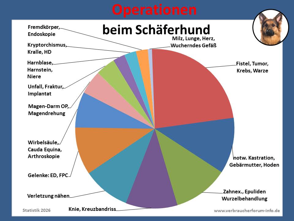 Hunde-OP-Versicherung für Operationen beim Schäferhund