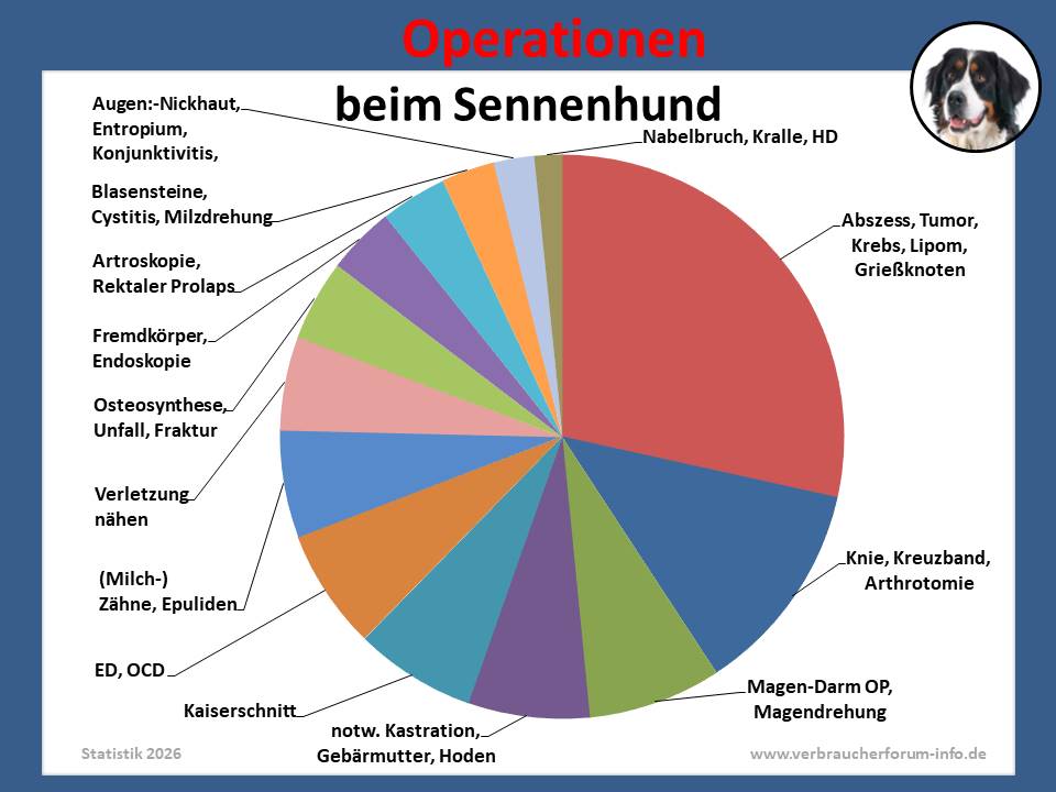 Hunde-OP-Versicherung für Sennenhunde Operationen