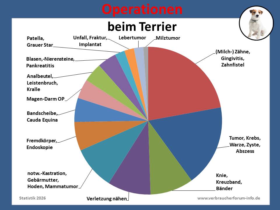 Hunde-OP-Versicherung für Terrier Operationen