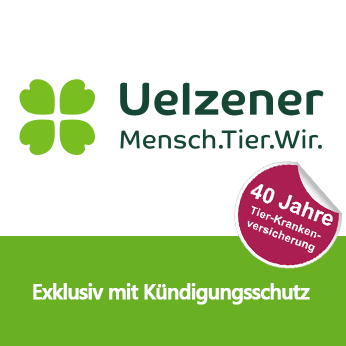 direkt zur Uelzener Hunde OP Versicherung Uelzener Hunde OP Versicherung