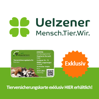 Uelzener Hunde OP Versicherung